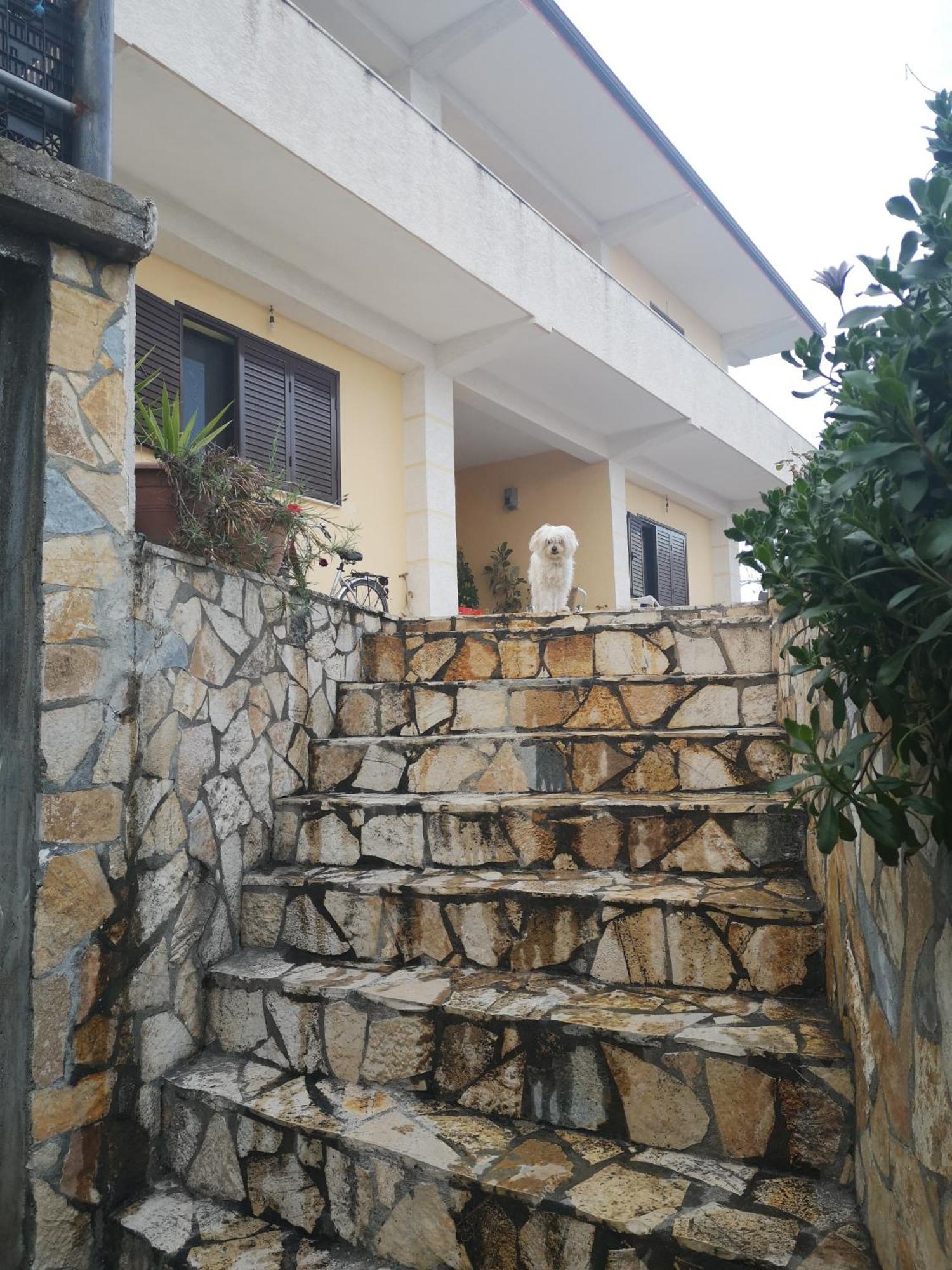 Private House Villa *